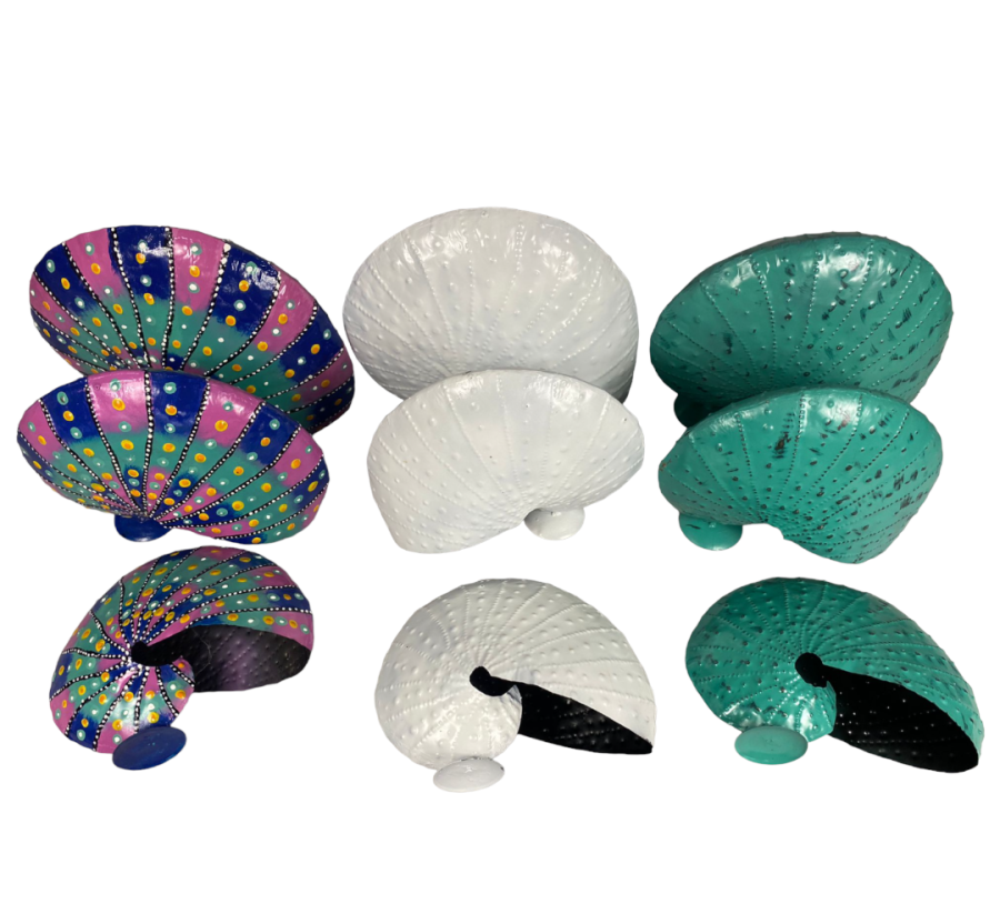 NAUTILUS METAL CON BASE