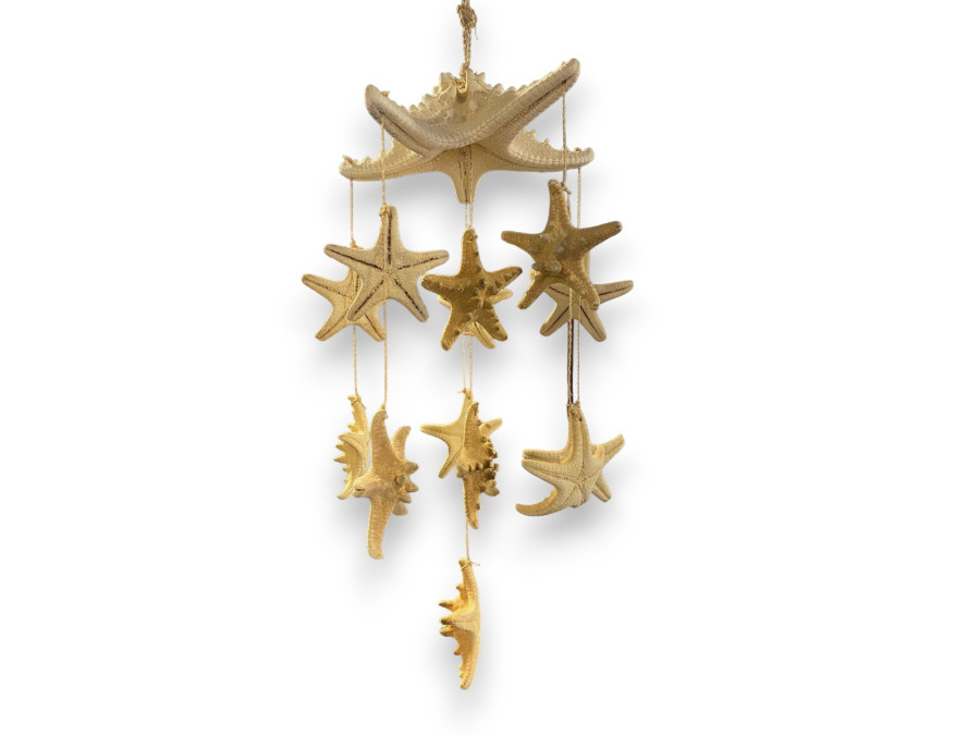 MOVIL 13 E.FILIPINA NATUR