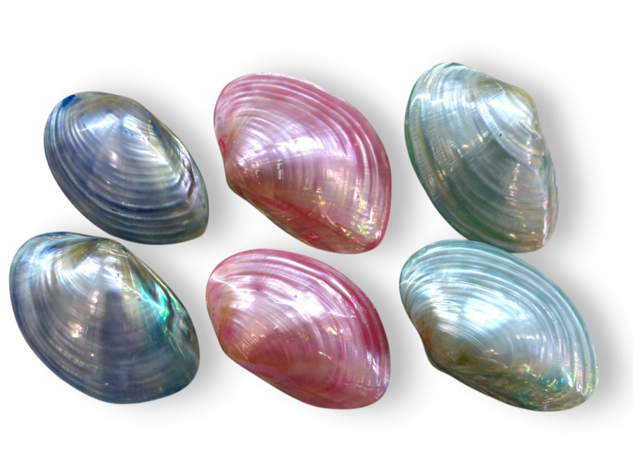 MACABE PAREJA NACAR COLOR 10cm pack 12