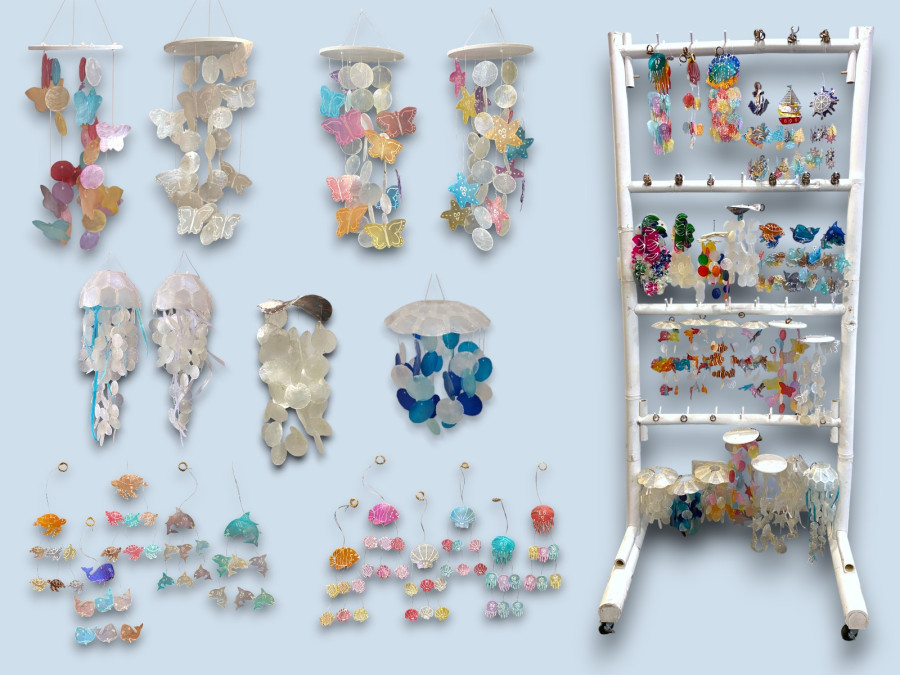 EXPOSITOR PLANO CAPIZ