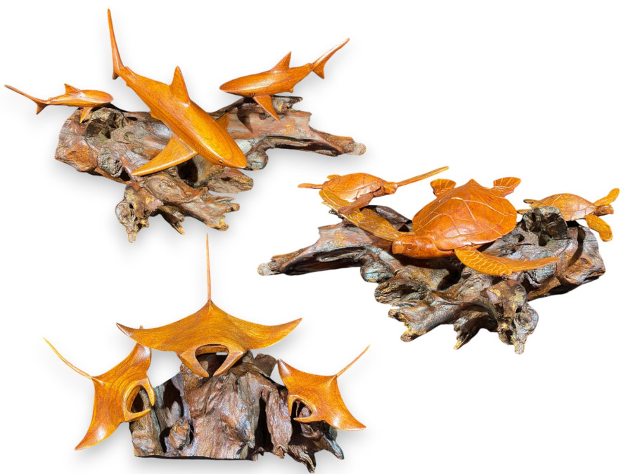 FAMILIA 3 TORTUGA/3 MANTA 3 TIBURON