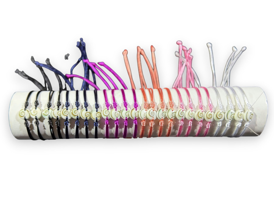 Y.P.MA-26131 SHIVA BLANCA tubo 24