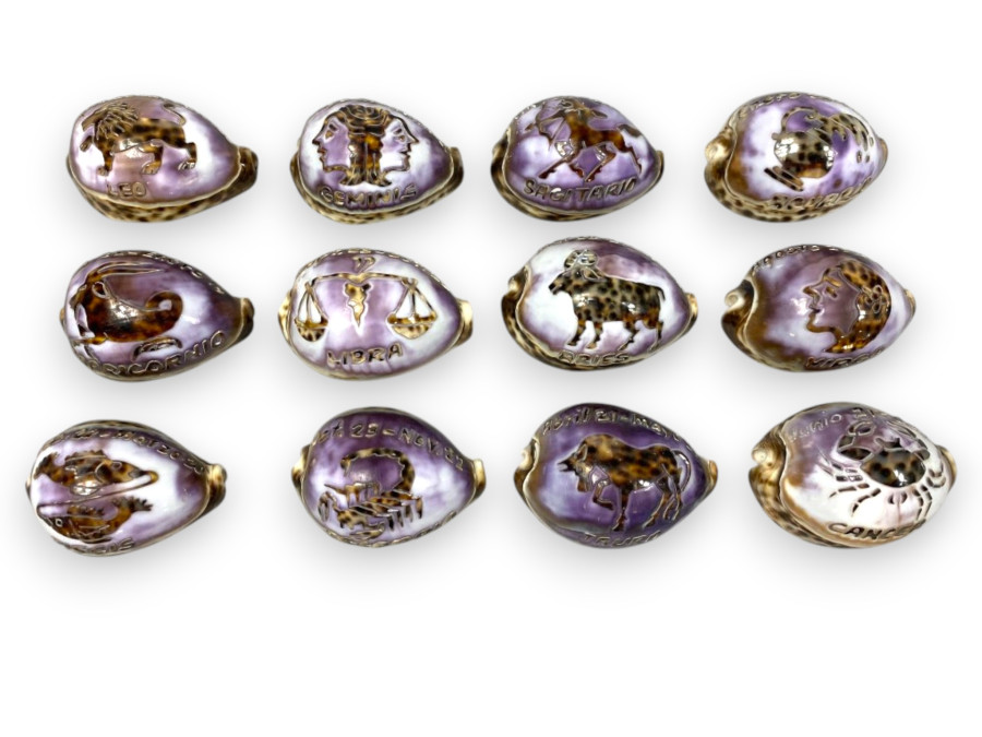 TIGRIS HOROSCOPO 08cm pack 12