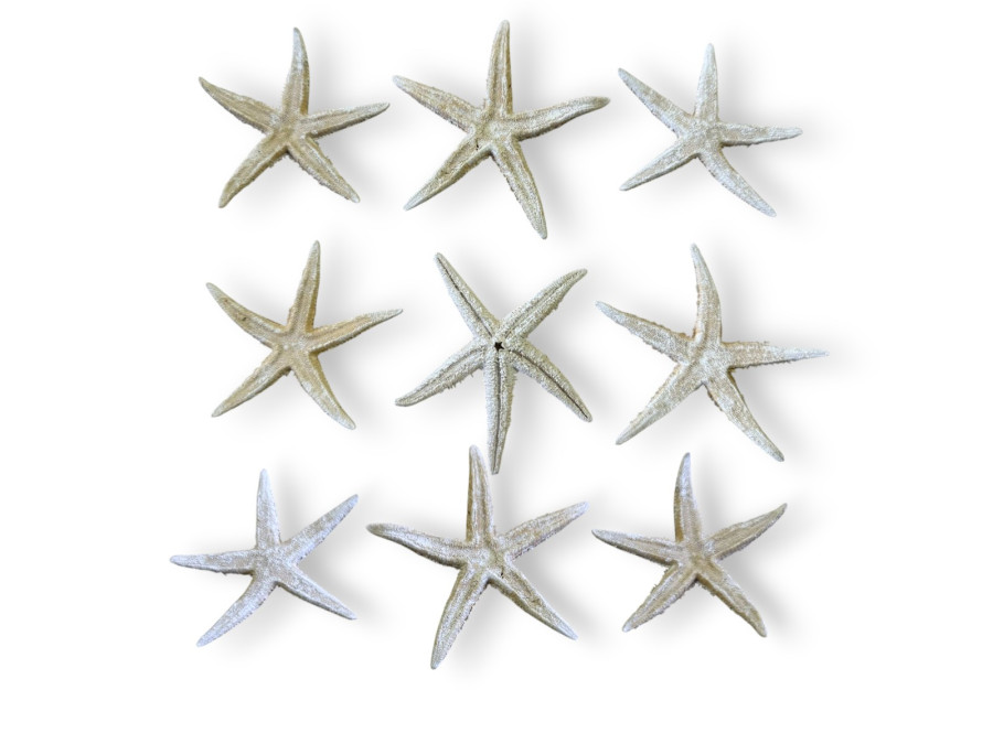 BOLSA E.FLAT BLANCA 08-10cm bolsa 25