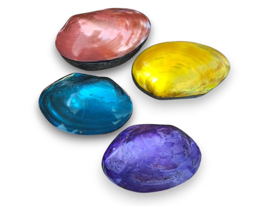 CAJA SHELL MACABEBE COLOR 13cm pack 4