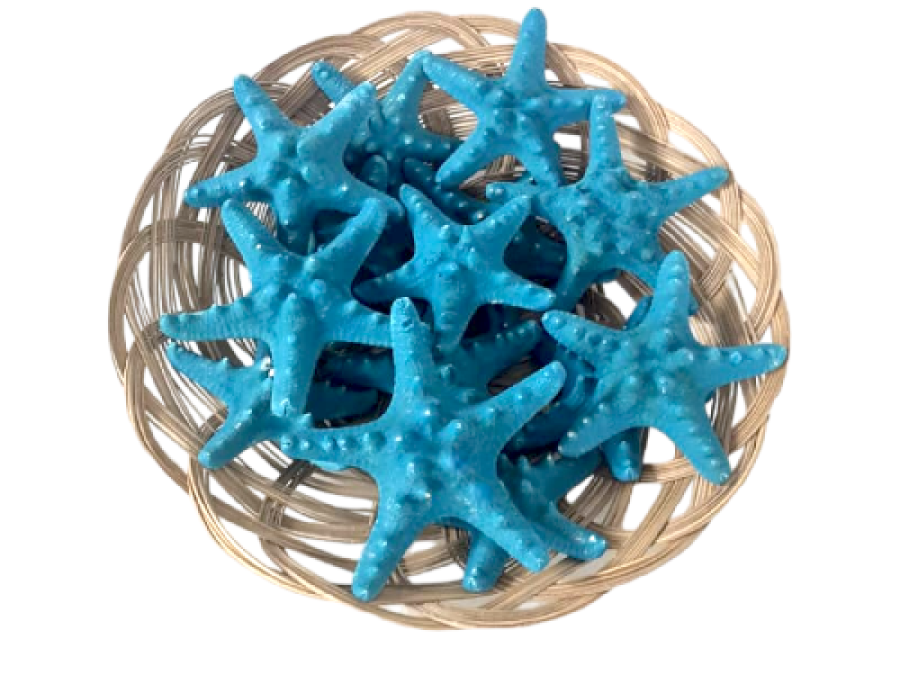 BOLSA E.FILIPINA TURQUESA 08-10cm bolsa 25