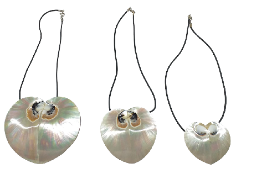 COLGTE.NACAR FORMA CORAZON