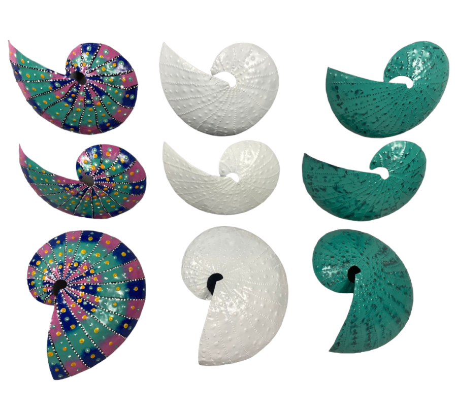 NAUTILUS METAL PARED