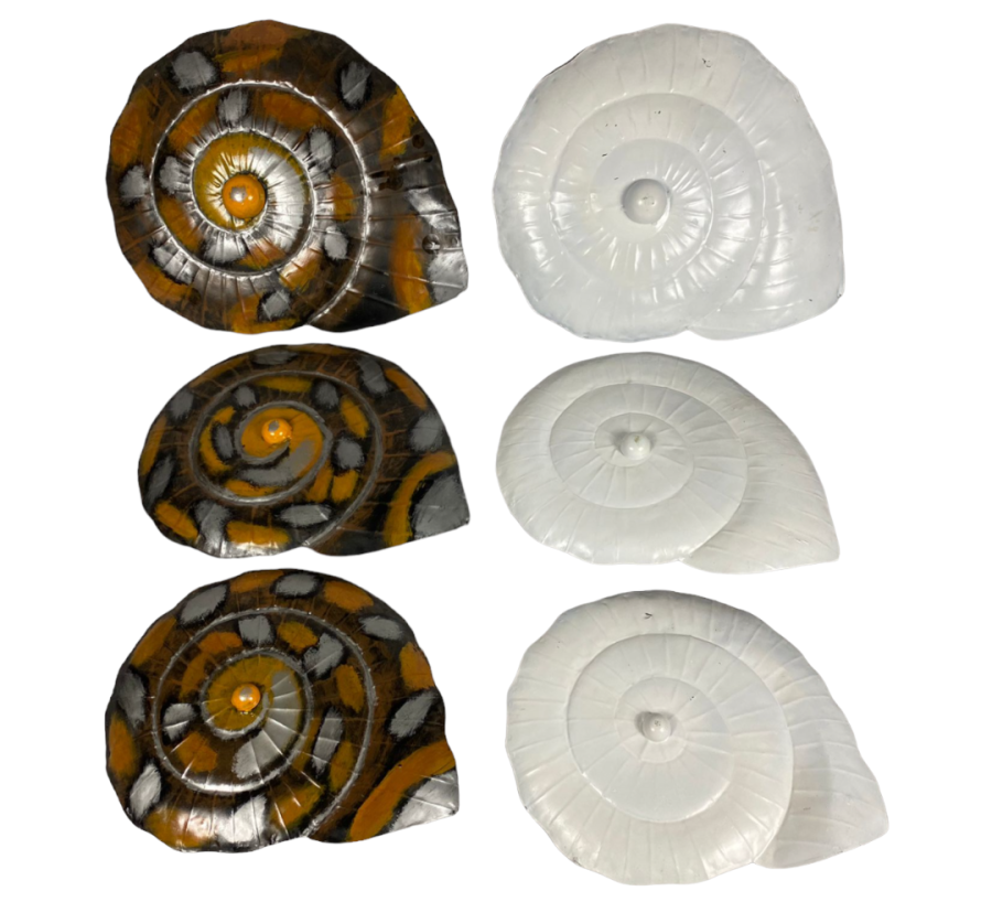 CARACOLA SAMATICUS METAL PARED