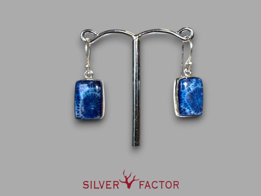 PTES.AG.BLUE&MOP REVERSIBLE RECTANGULAR