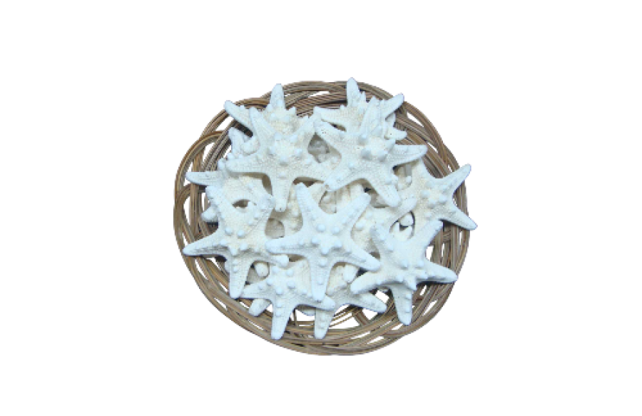 BOLSA FILIPINA BLANCA (bolsa 25 und)