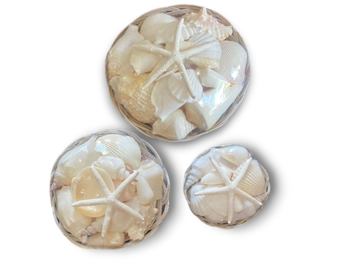 PANERA CONCHA BLANCA 3 Medidas