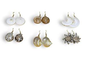 Y.Pte.MA-26501 CONCHAS