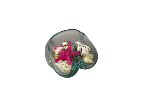 BURBUJA CRISTAL CONCHA 10cm