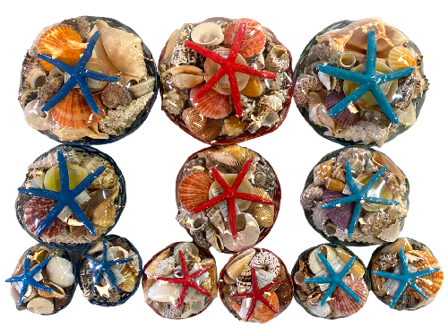 PANERA CONCHA E. DEDOS