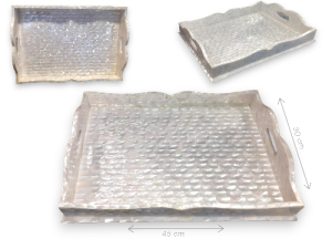 BANDEJA MOP ASAS 45x30cm